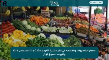 أسعار الخضروات والفاكهة في كفر الشيخ تتأرجح الثلاثاء 12 أغسطس 2025 وظروف السوق تؤثر